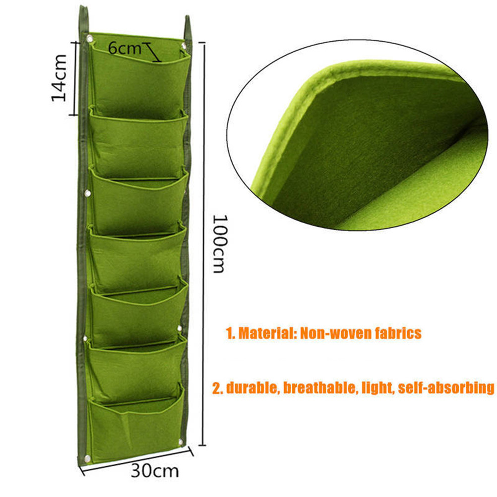 1Pcs Wall-Mounted Plant Nutrit - Nutrition & Fitness Class 评论和价格