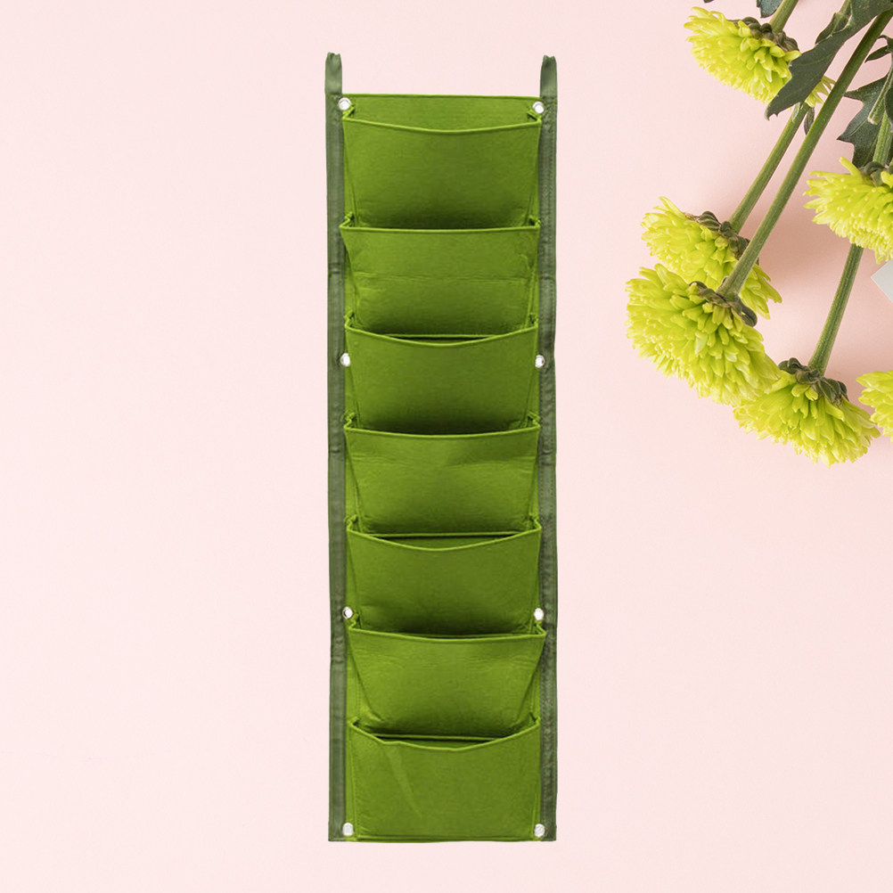 1Pcs Wall-Mounted Plant Nutrit - Nutrition & Fitness Class 评论和价格