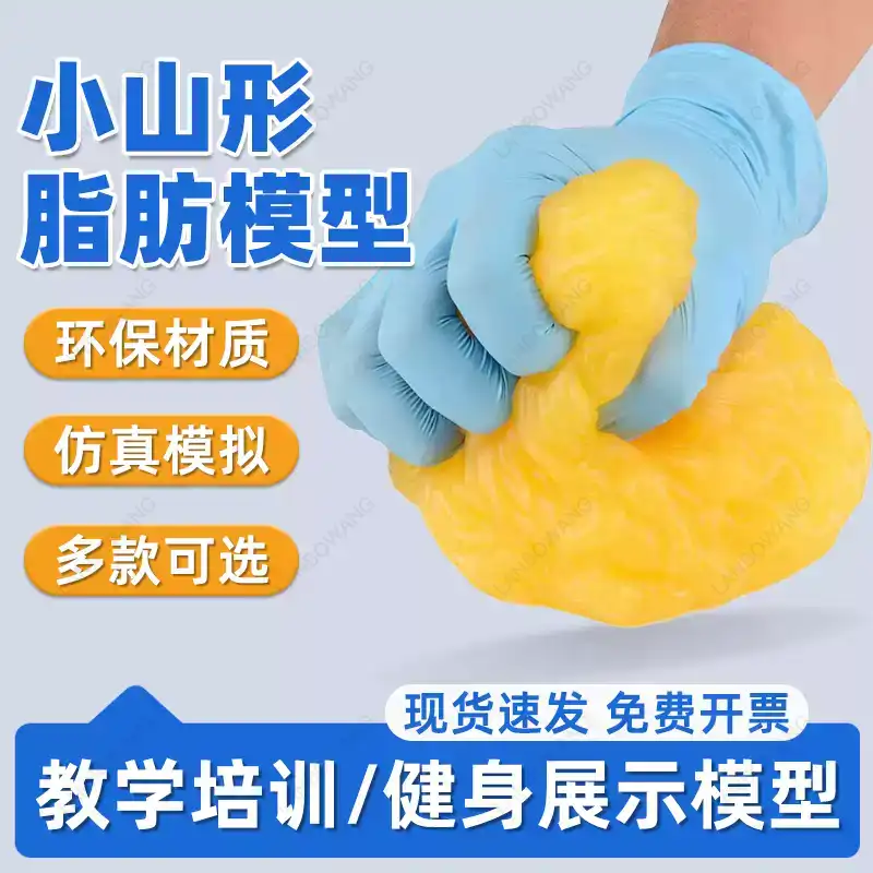 Human Muscle and Fat Replicas, - The Nutrition Fitness 评论和价格